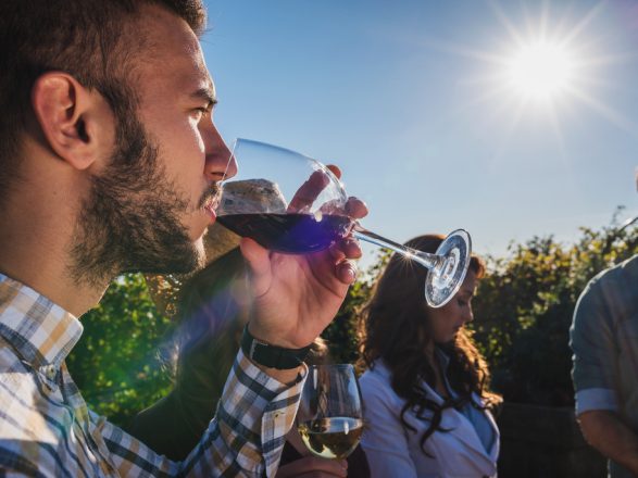 Happy friends having fun drinking wine at winery vineyard - Frie